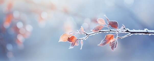 frozen branch with autumn leaves autumn winter background