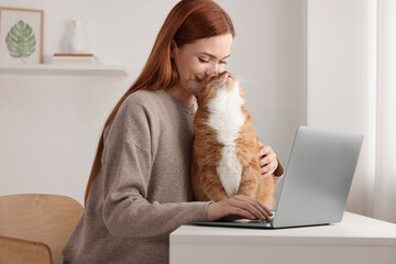 Wall Mural - Woman working with laptop and hugging cat at desk. Home office