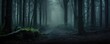 mystic dark forest in autumn panorama