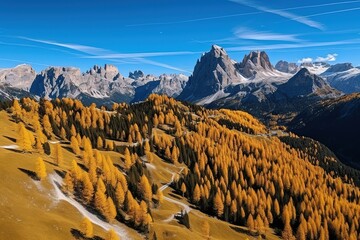 Poster - Amazing view of the valley on a sunny autumn day with yellow larches