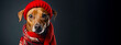 Cute dog dressed in a red scarf and hat with copy space.