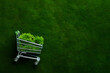 © Magryt - Shop cart with moss on nature background. Green Friday sale, Earth Day, Environment and Eco concept, healthy lifestyle, zero waste, sustainable lifestyle, conscious consumption, eco market trolley