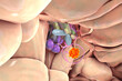 A pituitary gland tumor, 3D illustration