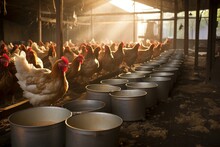 Chickens Eating At A Poultry Farm. Generative AI
