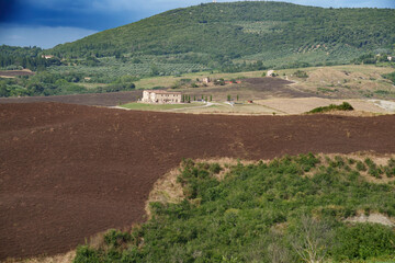 Rural landscape in Val d Orcia, Tuscany, at summer