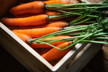 Poster - Fresh carrots in old box.