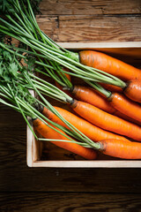 Poster - Fresh carrots in old box.