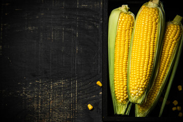 Poster - Fresh corn in black box.