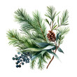© Cherstva - Warm and inviting atmosphere with this gentle watercolor pine spruce twig on white background. Winter holidays concept