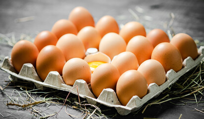 Wall Mural - Fresh chicken eggs on dark background.