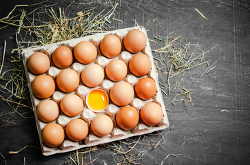 Wall Mural - Fresh chicken eggs on dark background.