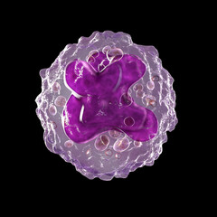 Poster - A 3D illustration revealing the intricate inner structure of a monocyte cell