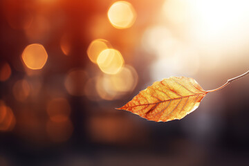 Poster - Autumn Leaf in Close-Up