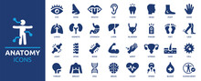 Anatomy Icon Set. Containing Eye, Nose, Mouth, Ear, Brain, Head, Hand, Stomach, Heart, Kidneys, Liver, Lungs And More. Human Body Part And Organs Vector Icons Collection.