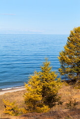 Wall Mural - baikal lake. sunny autumn on olkhon island. view of sandy beach from hill of coastal grove with yell