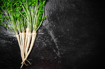 Poster - Fresh parsley root .