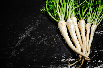 Canvas Print - Fresh parsley root .