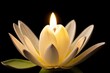 © FilipB - water lily flower candle isolated on black background - grief and rest in peace concept