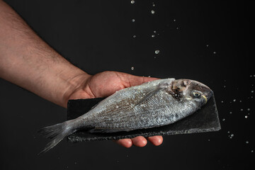 Poster - man hands holds dorado fish with Freeze motion splash drops of lemon juice on black background. place for text