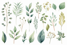 The Digital Watercolor Illustration Of Various Green, Blue, And Brown Leaves With Flowers Plants Patterns For Decoration Isolated On A White Background, Generated By AI.