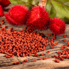 Sticker - Natural red pigment from annatto seeds - Bixa orellana