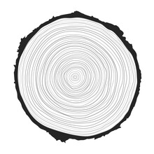 Vector Illustration Of A Hand-drawn, Wavy Concentric Tree Ring Pattern With An Editable Stroke, Created From A Sliced Tree Trunk With A Ripple Ring Line Pattern Shape In Organic Wood