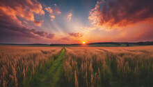 Sunset Over The Field Captivating 4K Time Lapse Majestic Sunrise Or Sunset Landscape With Stunning Nature Light And Rolling Colorful Clouds