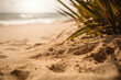 Imagen con desenfoque de la playa estilo macro de la arena en la orilla del mar.