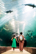 Unrecognizable Mother And Daughter In Glass Tunnel In Aquarium With Group Of Carp Fish