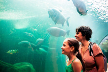 Smiling Mother And Daughter Standing Near Aquarium Glass Wall With Group Of Large Carp Fish