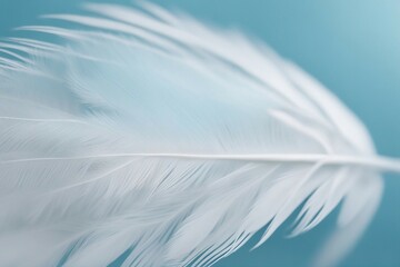 Fototapete - Close-up of Soft, Fluffy White Feather Isolated on Blue Background