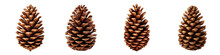 Pine Cone Clipart Collection, Vector, Icons Isolated On Transparent Background