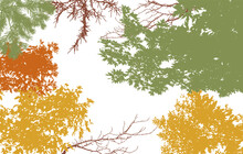 Autumn Frame Of Deciduous Branches Of Trees, Silhouette, Background. Vector Illustration