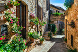 Fototapeta Uliczki - Traditional old villages of Italy, Umbria - beautiful Spello town. Charming floral streets decoration