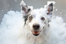 AI Generated Image Of Cute Playful White Dog In A Bath With Soap Foam While Looking At Camera With Opened Mouth