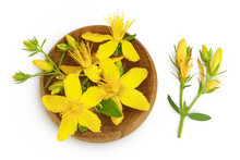 Saint John's Wort Or Hypericum Flowers In Wooden Bowl Isolated On White Background. Top View. Flat Lay
