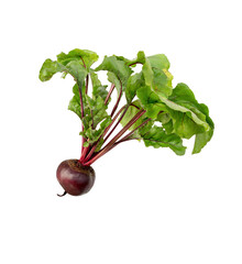 Wall Mural - Beet with leaves on white background.