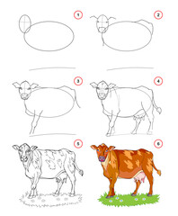 Wall Mural - How to draw a cute cow. Educational page for children. Creation step by step animal illustration. Printable worksheet for kids school exercise book. Online education. Vector drawing.