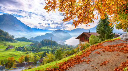Wall Mural - exciting autumn view on suburb of stansstad city and lucerne lake with mountaines and fog
