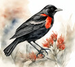 Beautiful Red-winged Blackbird bird, watercolor dye painting