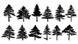 Collection of silhouettes of pine trees. Vector Illustration.