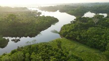 Aerial View Of Rainforest River Jungle In Amazonas Brazil At Sunrise