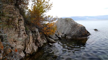 Wall Mural - video of baikal lake on october day. olkhon island. autumn landscape with yellowed bushes on coastal