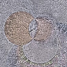 Overlapping Circles Mosaic With Beach Pebbles In Shades Of Grey And Pale Brown