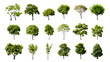 © Bob - Overhead Tree Collection Isolated on Transparent or White Background, PNG