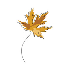 maple leaf line continuous drawing vector. botanical outline illustration. hand drawn linear silhoue