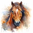 Portrait of a brown horse, watercolor illustration.