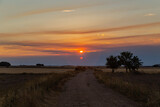Fototapeta Perspektywa 3d - Sunset in farmland of Navarre