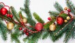 © Visual Vibes - christmas tree branches