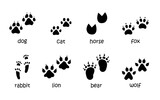 Fototapeta Pokój dzieciecy - Vector set of animal footprints. Paw tracks in black color. Animal feet silhouette collection of cat, dog, fox, horse, rabbit, lion, bear and wolf prints.